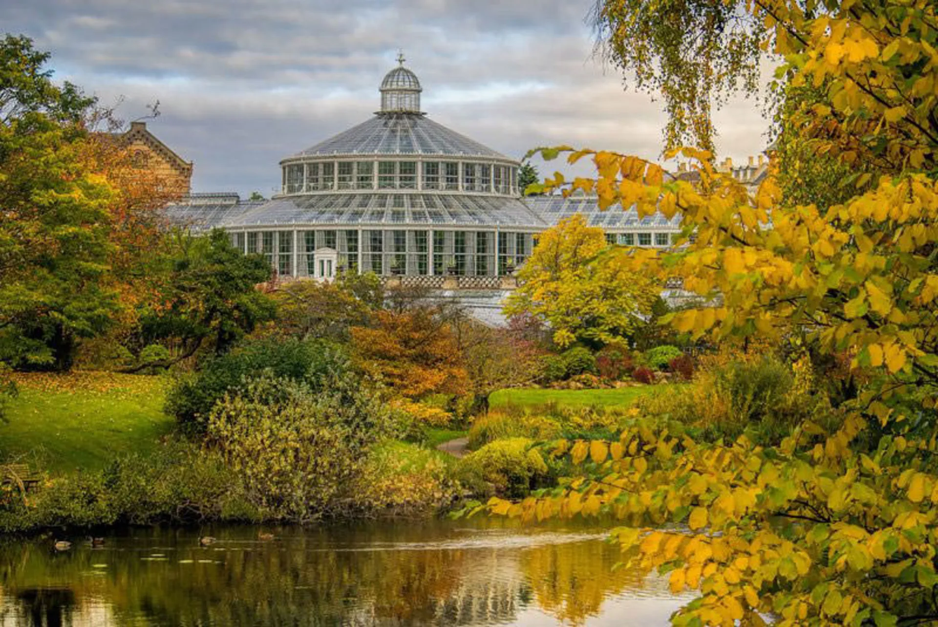 باغ پالم فرانکفورت