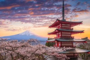 تور خاص و پیشنهادی مای‌تور (لوکس و منحصربفرد)