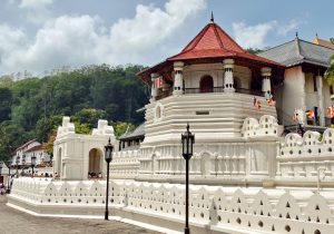 تور گروهی سریلانکا ویژه بهمن